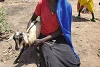 Une esclave libérée reçoit une chèvre laitière après son retour au Soudan du Sud. (csi)