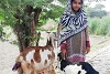 Après sa libération, Sunena Liaqat a reçu deux chèvres de CSI. Celles-ci constituent un soutien financier important pour la famille pauvre. csi